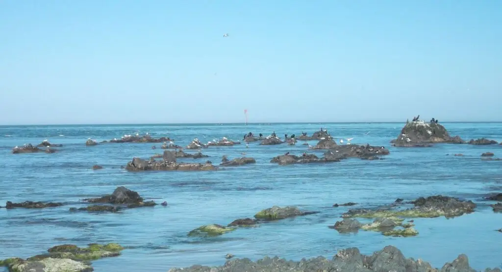 energy healing on the beach