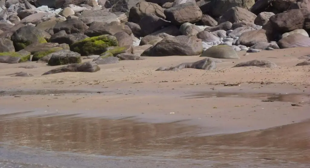 brutal facts about your life goals hidden in the rocks