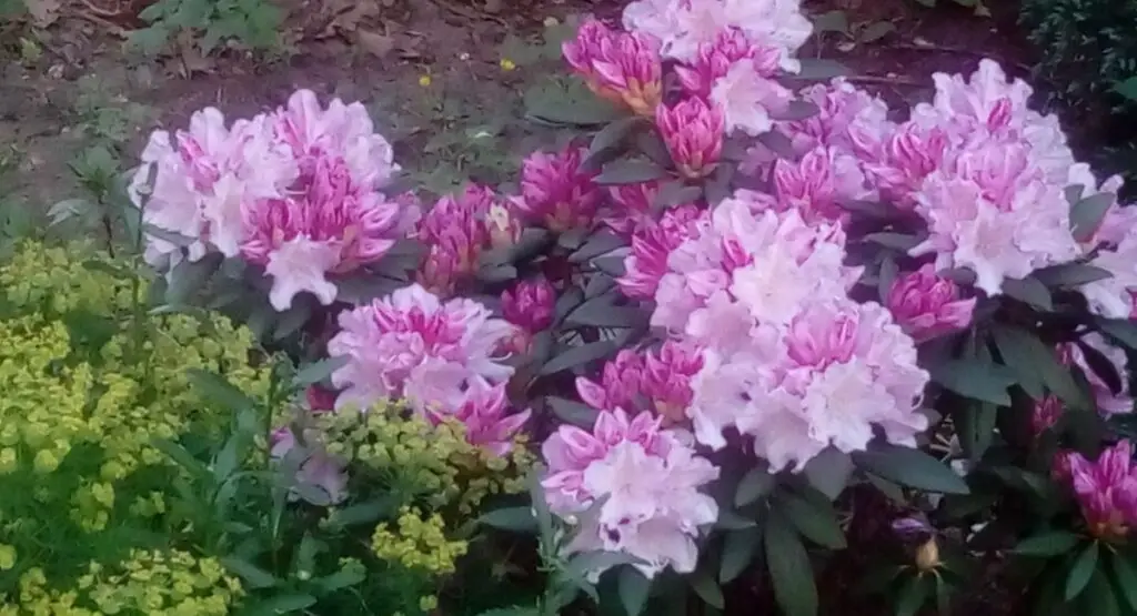 rewrite your beliefs